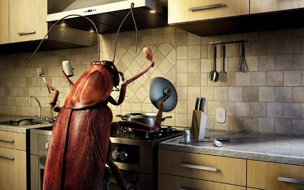 Любимое место тараканов в доме - кухня