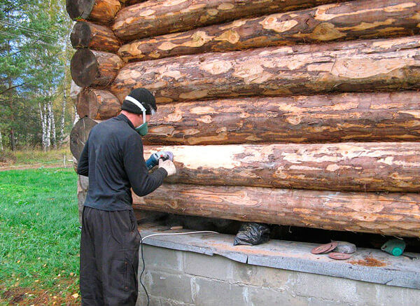 Защита деревянного дома от жука точильщика