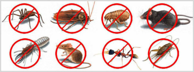 Прибор Pest Reject против грызунов (крыс и мышей), клопов, тараканов
