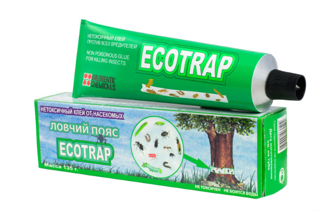Ecotrap